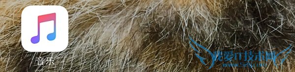 applemusic好用吗?苹果音乐app使用评测体验