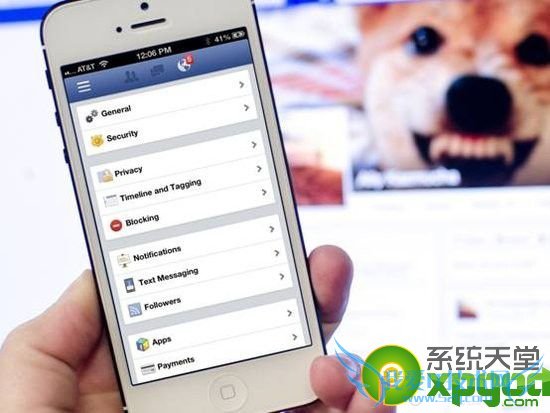 iphone5sǿֻȫ÷    52IJֻ֮