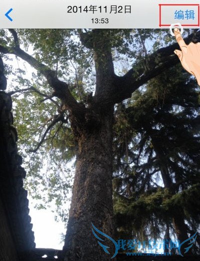 iphoneƬôת 52IJֻ֮