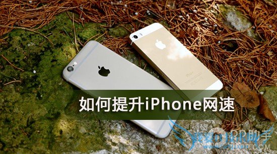 ƶͨ3GûiPhoneٽ輸 52IJֻ֮