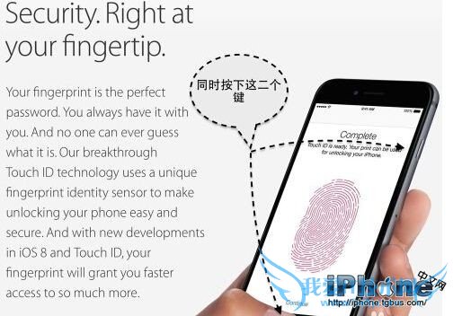 iPhone6 Plusô 52IJֻ֮