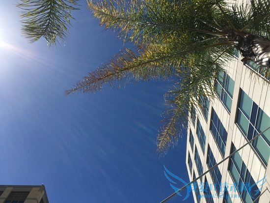 iPhone SE怎么样 iPhone SE首发评测