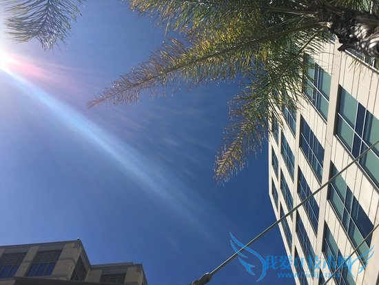 iPhone SE怎么样 iPhone SE首发评测