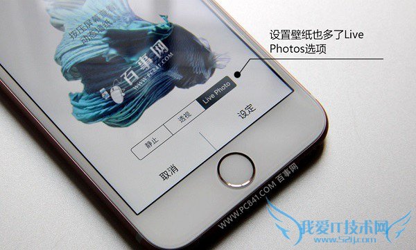 Live Photos怎么关闭 iPhone6s关闭Live Photos拍照方法