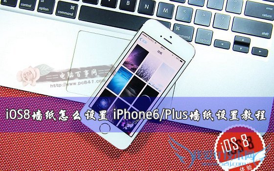 iPhone6/PlusiOS8ϵͳҪôǽֽ 52IJֻ֮