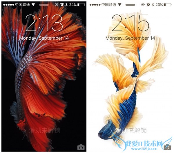 【壁纸控】iPhone6s内置壁纸