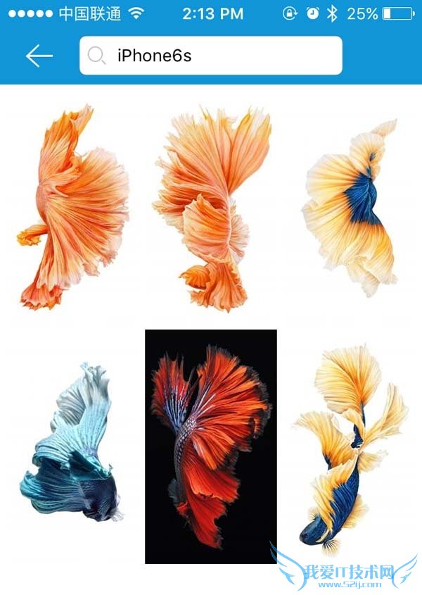 【壁纸控】iPhone6s内置壁纸