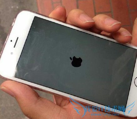 iphoneػỵ 52IJֻ֮