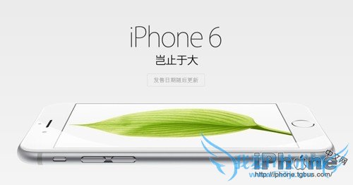 ΪʲôiPhone 6 Plusܻӭ 52IJֻ֮