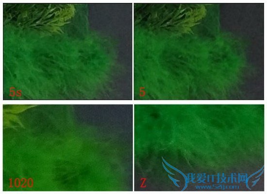 iPhone 5s专业摄像头测试 噪点降低细节提升