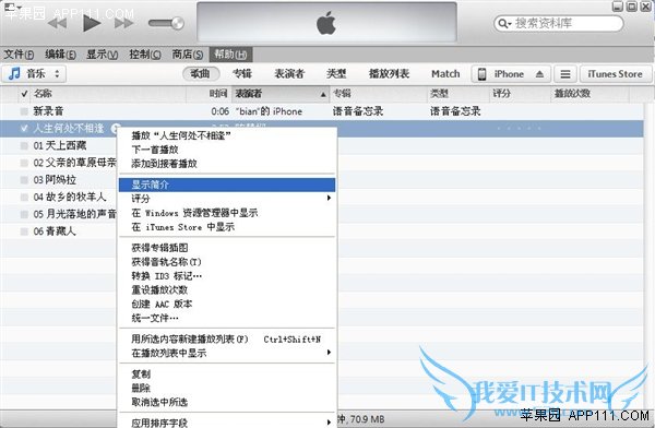 iPhone手机里隐藏音频文件 52IJ手机之家