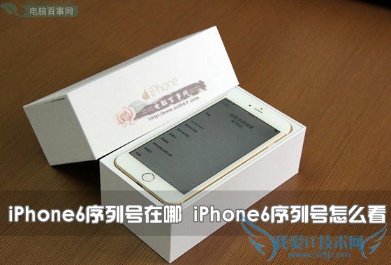 iPhone6序列号怎么查看? 52IJ手机之家