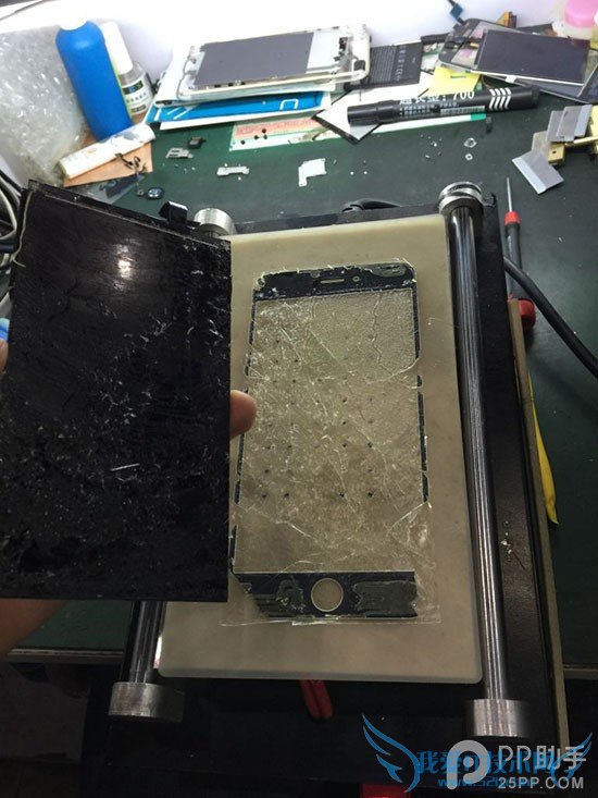 iPhone6 PlusĻ˲ ְֽά