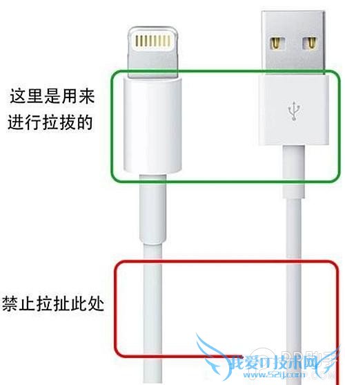 ÎåÕнÌÄã±£ÑøiPhoneÔ×°Êý¾ÝÏß