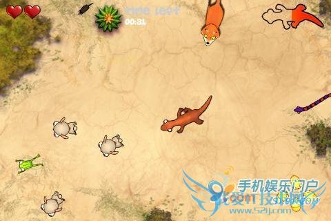 迷路的科莫多龙 踏上回家的路