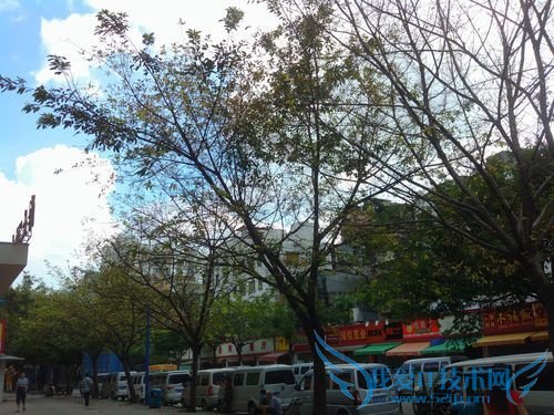 4寸侧滑Android精品OPPOX903评测(11)