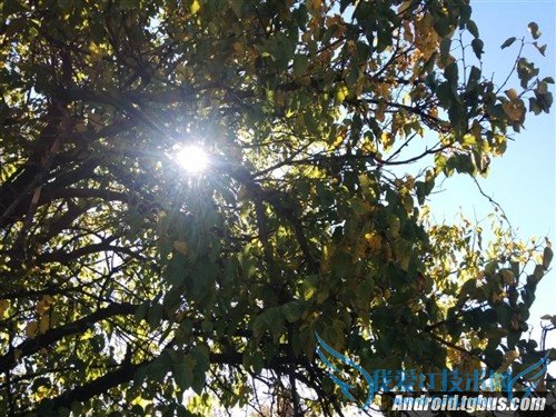 Android 5.0的拍照相对之前的系统有提升吗? 52IJ手机之家