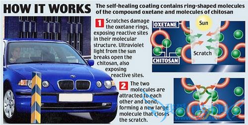 U1235P2DT20090313135417