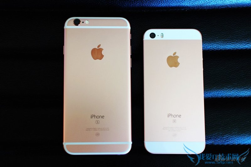 ƻ4iPhone SE