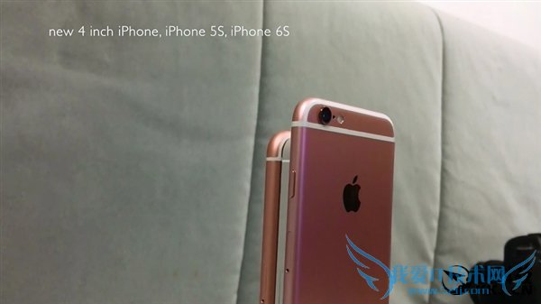 iPhone 5S5SE6SԱȣûֱ