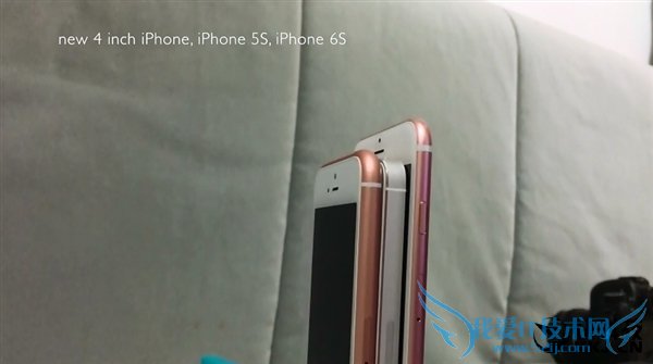 iPhone 5S5SE6SԱȣûֱ