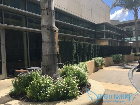 小屏旗舰!iPhone SE首发评测:不输iPhone 6S