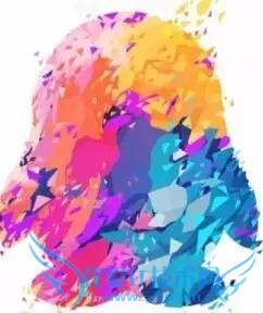 高考题惊现微信启动画面 网友:太难了