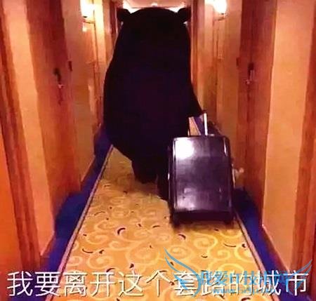 我今天吃药的时候看见一则新闻 是什么梗?