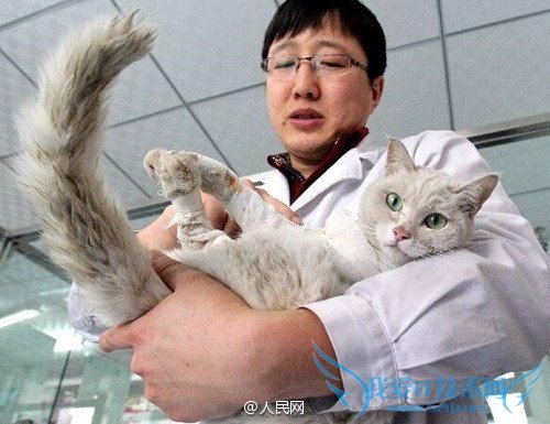 è˿ն֫϶֫ؼңˢȦ