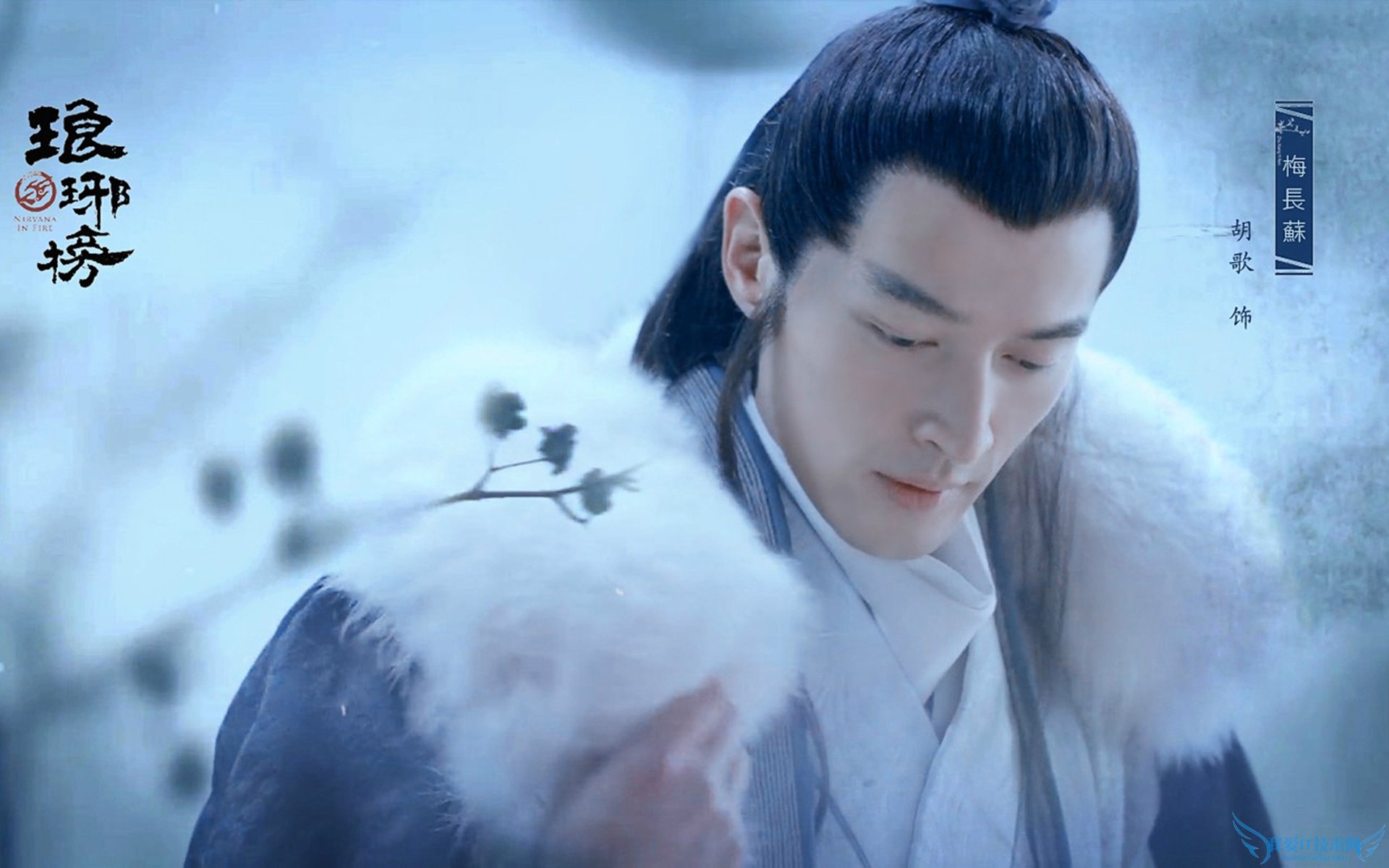 ¹ãµç¹«²¼2015×î¼Ñ¹ú²úµçÊӾ磺ÖÚÍûËù¹é