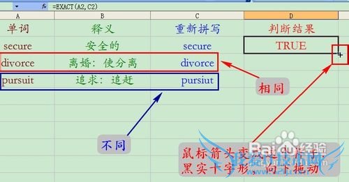 怎样用EXCEL做一个单词默写本