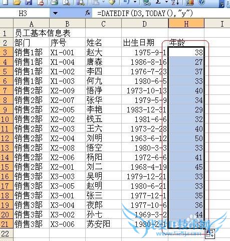 Excel技巧之——统计员工信息