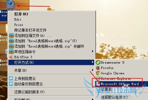 如何将Excel表格转换成Word文档?