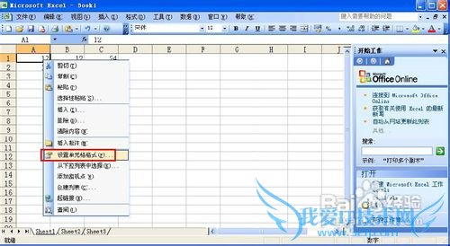 Excel 2003怎样锁定单元格?