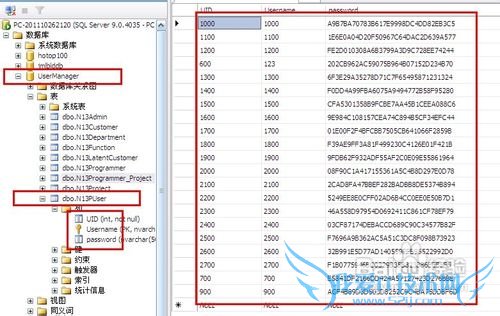 SQL ServerSQLExcelݻͨ뵼