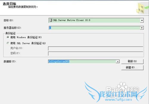 SQL ServerSQLExcelݻͨ뵼