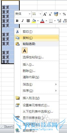 怎样去除EXCEL中的重复行