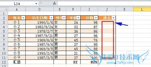EXCEL 2010[10]RANK.EQɼ