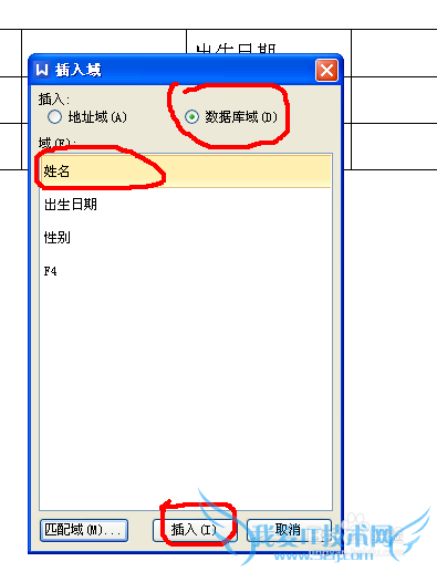 ôexcelе뵽wordеı?
