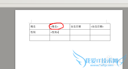 ôexcelе뵽wordеı?