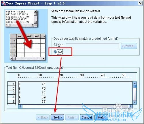 spss20.0中excel和txt格式的数据如何导入