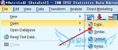 spss20.0中excel和txt格式的数据如何导入
