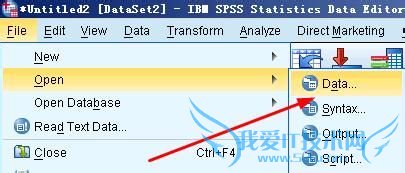 spss20.0中excel和txt格式的数据如何导入