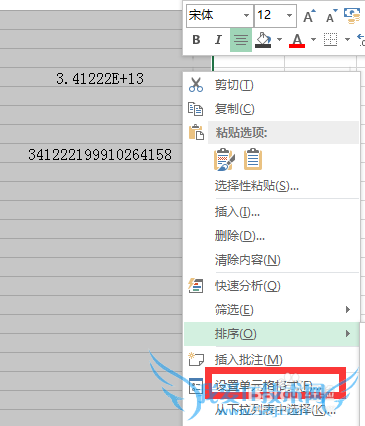 在Excel里输入身份证号码不能完全显示怎么办