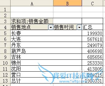 Excel数据透视常用技巧(二)