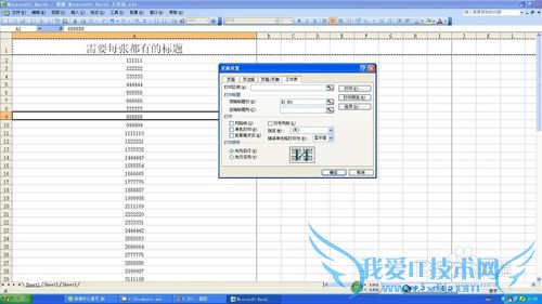 office2003excelʼʾӡ