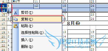 怎样隐藏/显示Excel单元格中的值(内容)