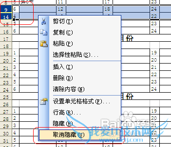 怎样隐藏/显示Excel单元格中的值(内容)