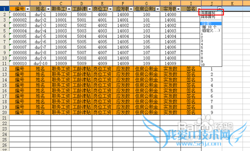 【Excel技巧】最快制作工资条以及文本日期转化