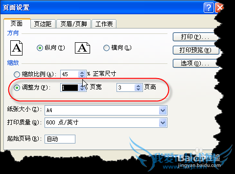 excelʵôӡɣ[4]һҳֽӡļ